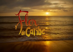 Flor do Caribe